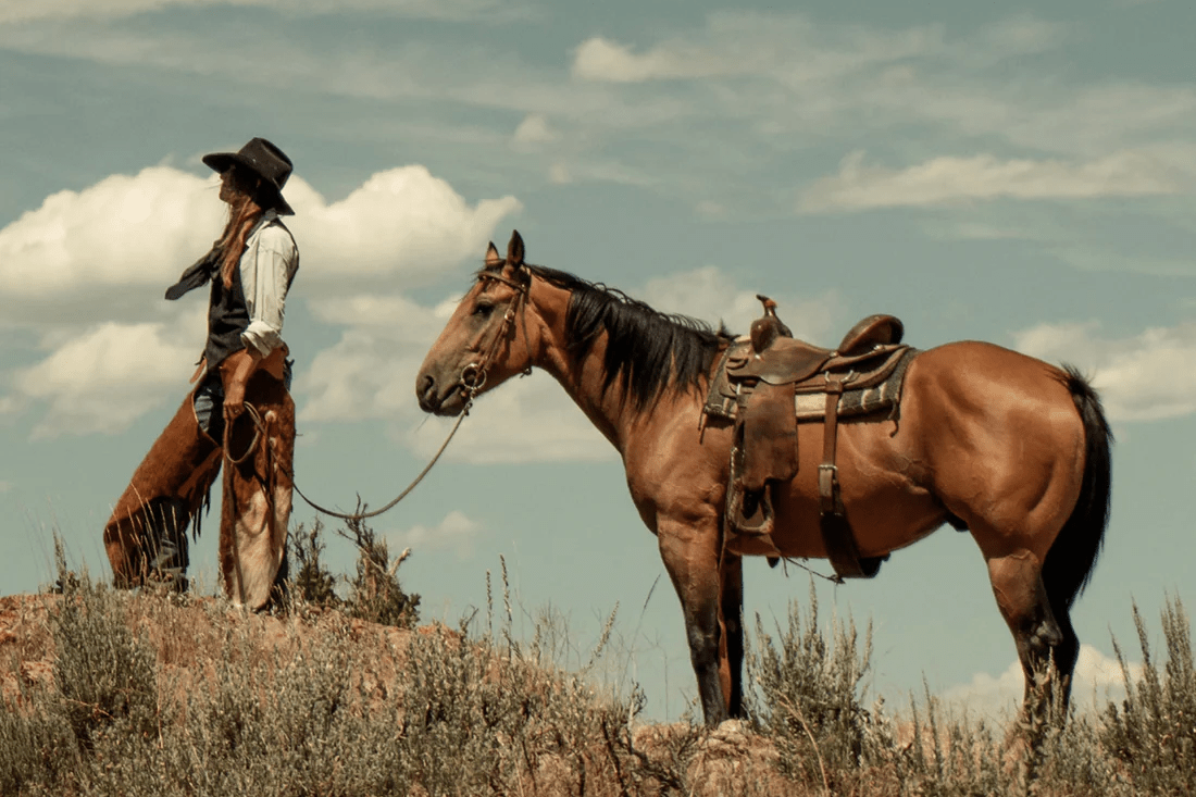 Why We Design with Feeling - Serene Western