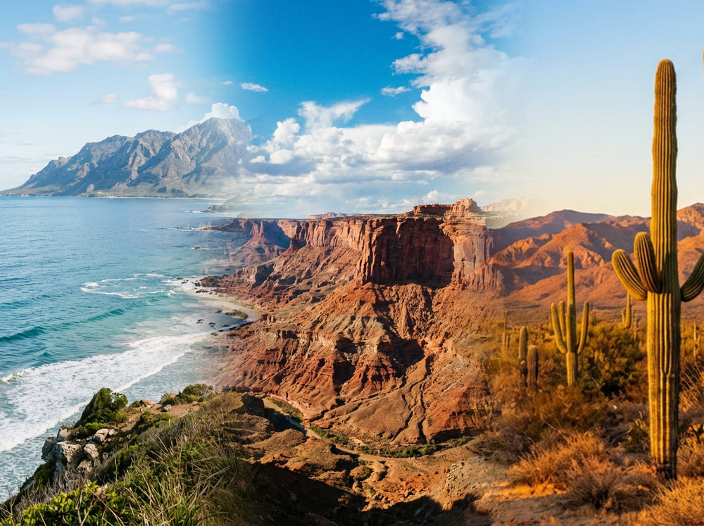 DESERT HORIZON HARMONY